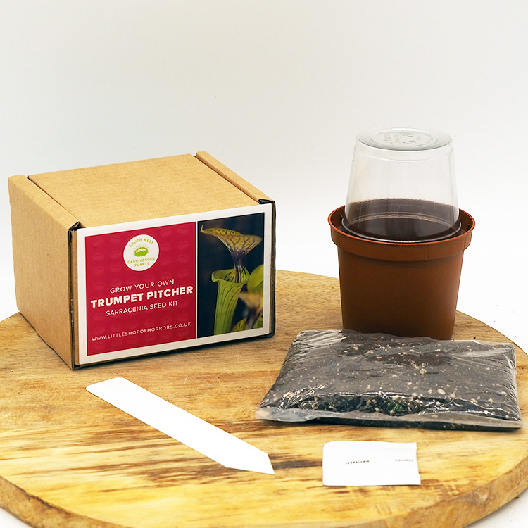 Boxed Trumpet Pitcher Seed Kit
