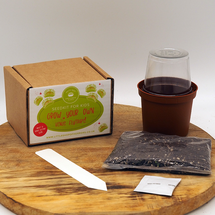 Venus Flytrap Seed Kit for Kids