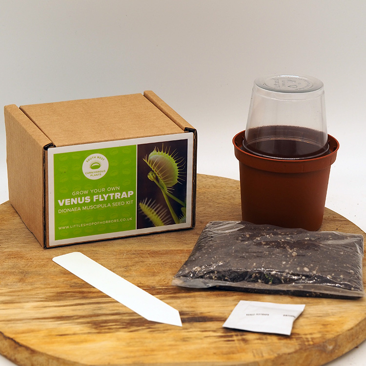 Boxed Venus Flytrap Seed Kit