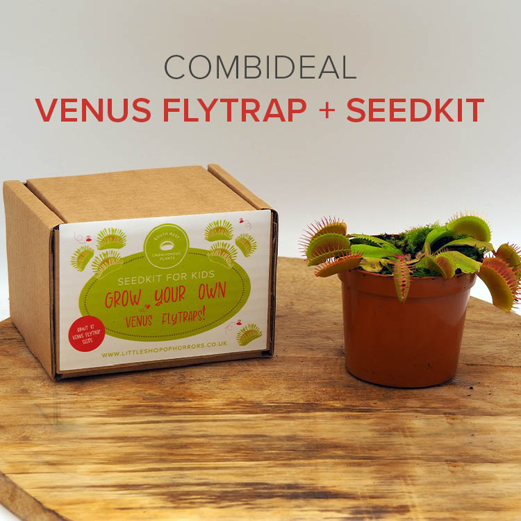 Venus Flytrap Seed Kit for Kids & Venus Flytrap