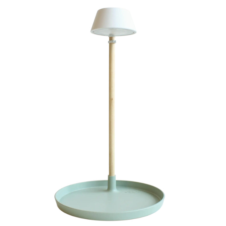 Carnivorous Plant Light Care - glacier grey